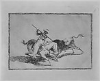 Plate 5 from 