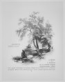 The American Drawing Book: Manual for the Amateur, Basis of Study for the Professional Artist, John Gadsby Chapman (American, Alexandria, Virginia 1808–1889 New York), illustrations: wood engraving