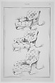 Modern Furniture.  Original and Select, James Lovegrove Holt (British, active early 19th century), Lithographs