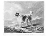 The Fisherman's Dog, Samuel William Reynolds, the elder British, Mezzotint, hand-colored; second state (?)
