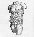 De humani corporis fabrica (Of the Structure of the Human Body), Andreas Vesalius (Flemish, Brussels 1514–1564 Zakynthos, Greece), Woodcut