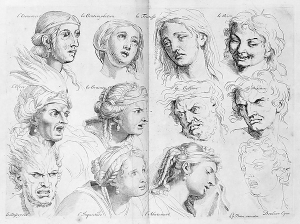 The Expressions