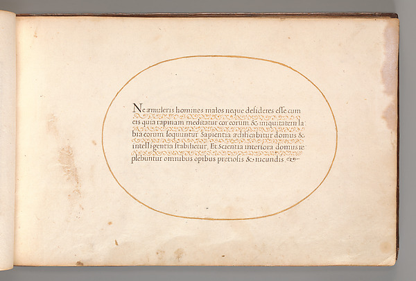 Calligraphic Exercise in Latin