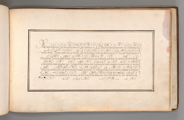 Calligraphic Exercise in Spanish