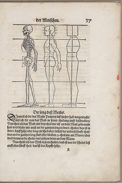 Des Circkels unnd Richtscheyts, auch der Perspectiva und Proportion der Menschen und Rosse, kurtze, doch gründtliche underweisung deß rechten gebrauchs