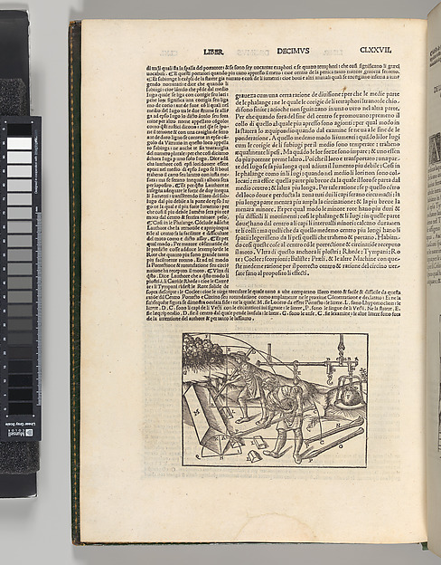 Di Lucio Vitruvio Pollione De architectura Libri Dece traducti de latino in vulgare affigurati: commentati: & con mirando ordine insigniti
