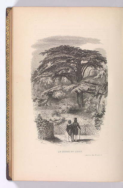 Le Jardin des Plantes, Descriptions et Moeurs des Mammiferes by François Boitard, The Metropolitan Museum of Art