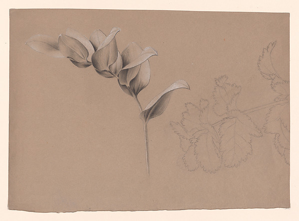 Floral Design