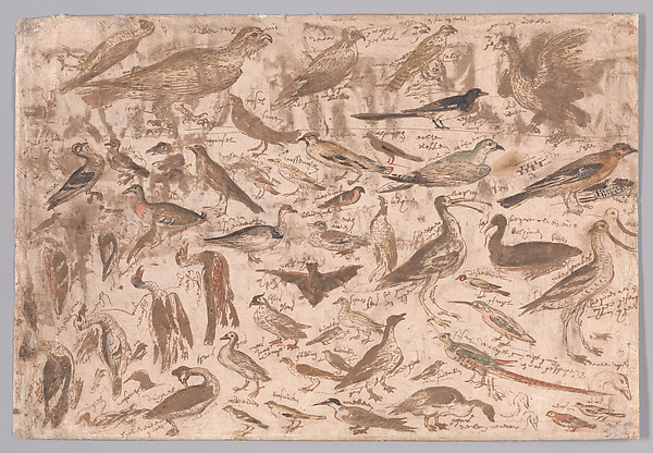 Studies of Birds (recto); Village Scene with Skaters (verso)
