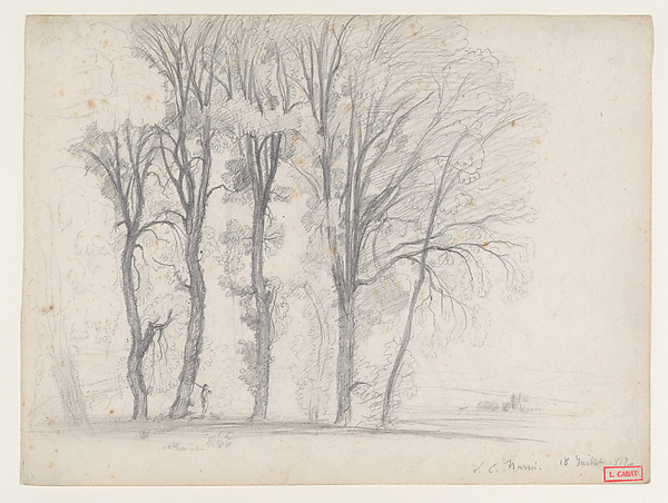 A Stand of Trees