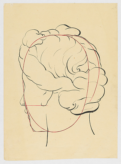 Schematic female head, seen from behind