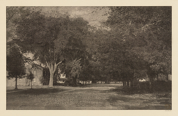 New England Elms