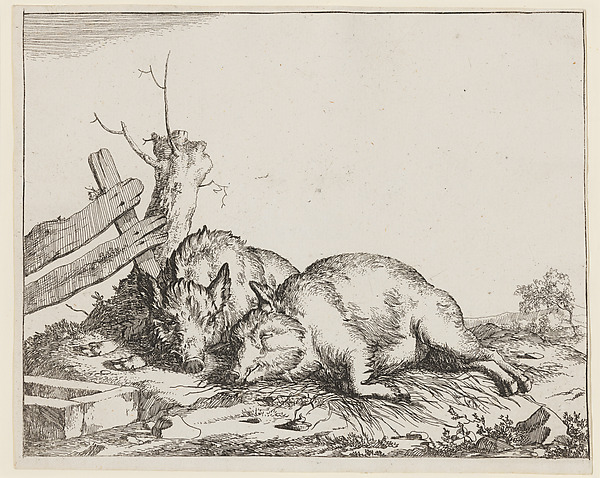 Two Sleeping Pigs, from "Various Animals"