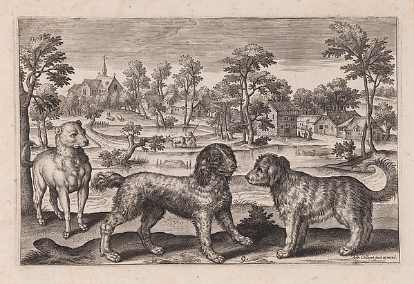 Three Dogs, plate 9 from a set of Four Legged Animals