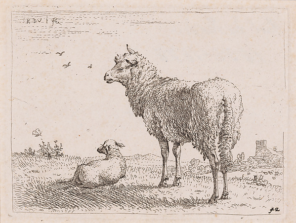 Ewe and Lamb