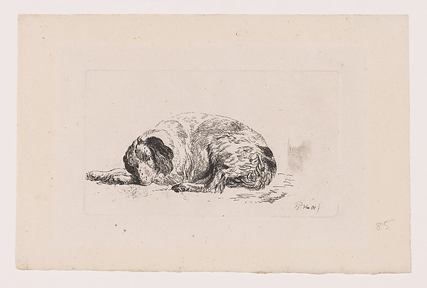 Sleeping Dog