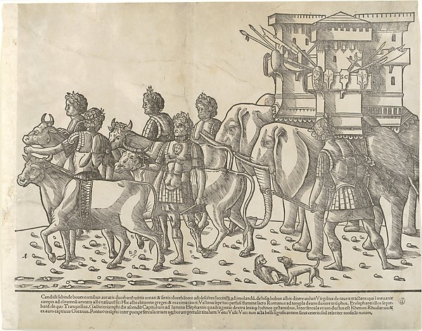 Oxen and elephants, from 'The Triumph of Caesar'