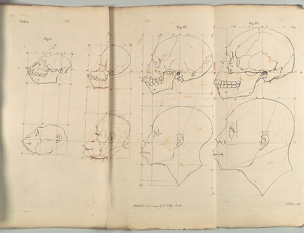 The Works of the late Professor Camper, on The Connexion [sic] between the Science of Anatomy and The Arts of Drawing, Painting, Statuary &c. &c. by Pieter Camper, The Metropolitan Museum of Art