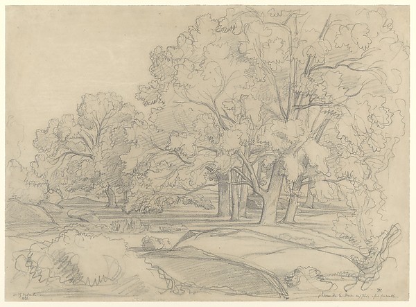Plateau de la Mare aux Fées. Forest of Fontainebleau
