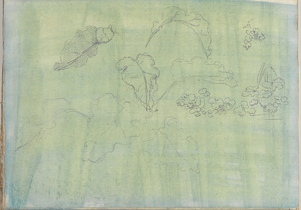 Carved Panel and Border Ornament (recto); Sketches of Leaves (verso) (Smaller Italian Sketchbook, leaf 21)