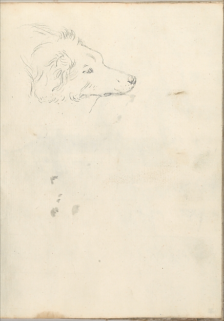 Head of a Dog (Smaller Italian Sketchbook, leaf 35 recto)