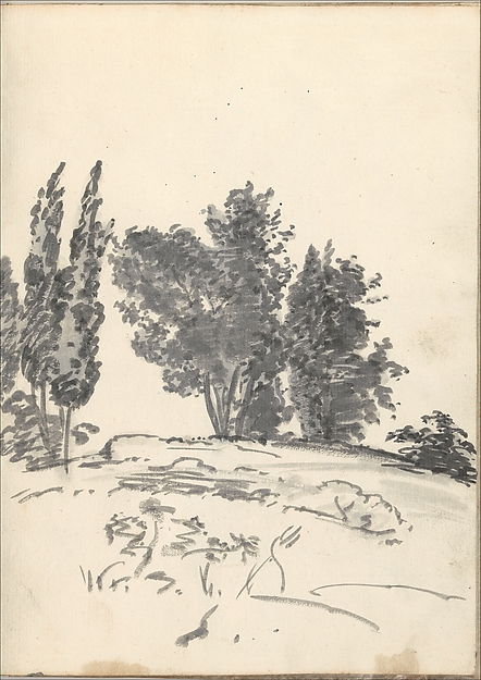 Trees, bushes and vegetation (Smaller Italian sketchbook, leaf 40 recto)