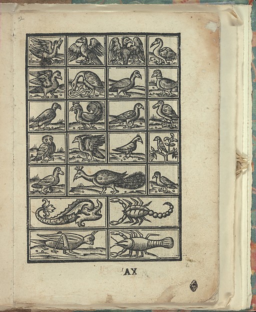 Opera Nova Universali intitulata Corona di racammi, page 21 (recto)