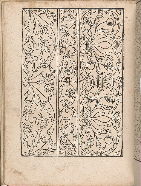 New Modelbüch allen Nägerin u. Sydenstickern (Page 17v)