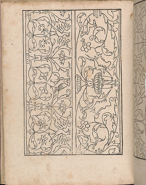 New Modelbüch allen Nägerin u. Sydenstickern (Page 24v)