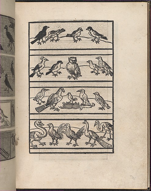 Page from Ein new kunstlich Modelbuch...(Page 8r)