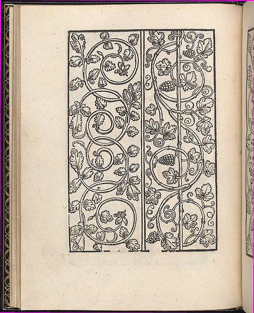 Page from Ein new kunstlich Modelbuch...(Page 15v)
