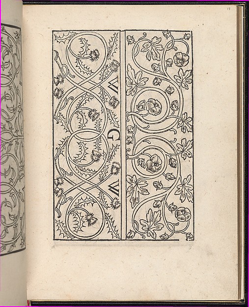Page from Ein new kunstlich Modelbuch...(Page 17r)