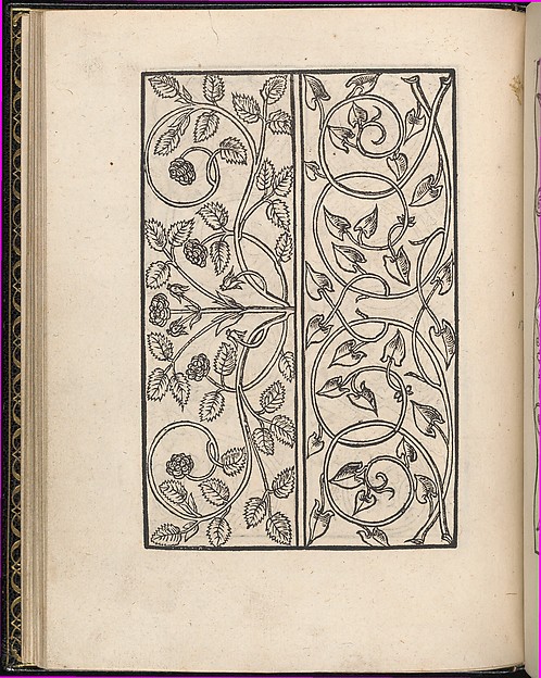 Page from Ein new kunstlich Modelbuch...(Page 17v)
