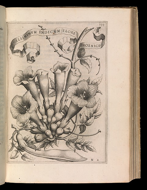 De Florum Cultura