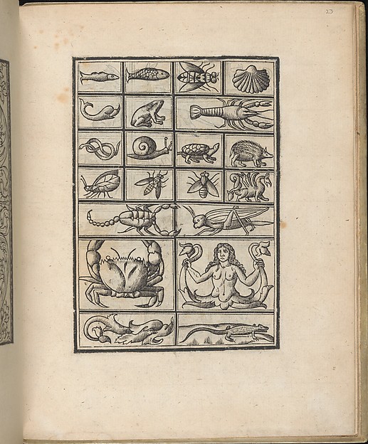 Trionfo Di Virtu. Libro Novo..., page 23 (verso)