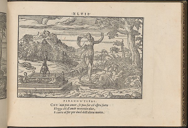 La Vera Perfettione del Disegno di varie sorti di recami, page 24 (recto)