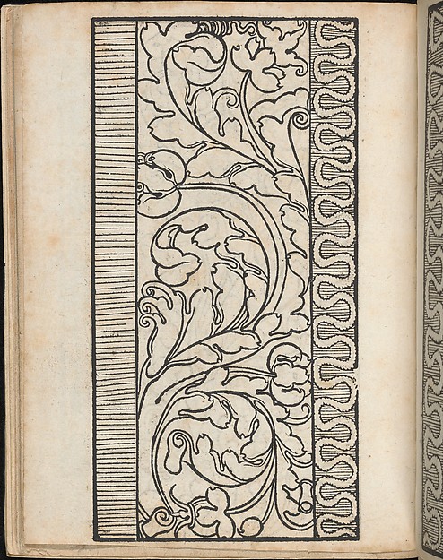 Ein new Modelbuch..., page 13 (verso)