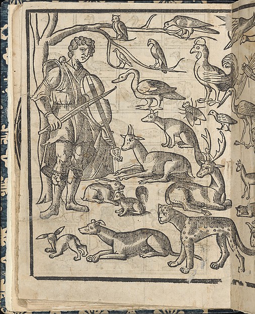 Essempio di recammi, page 12 (verso)