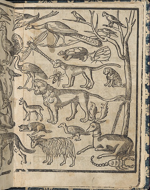 Essempio di recammi, page 13 (recto)