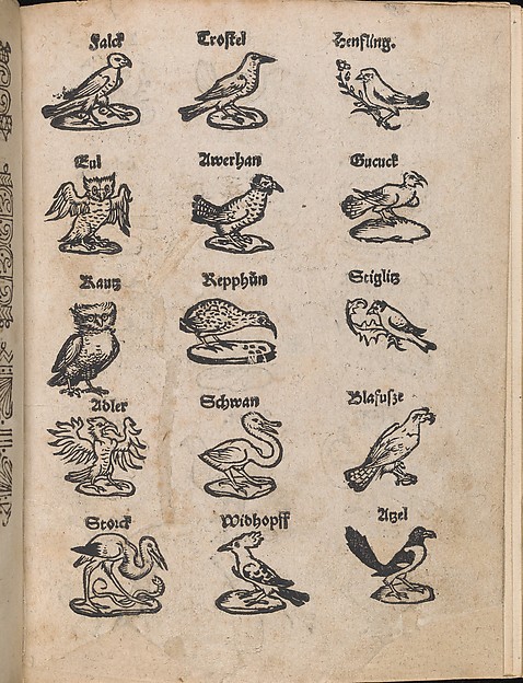 Modelbuch aller Art Nehens vn Stickens (Page 13r)