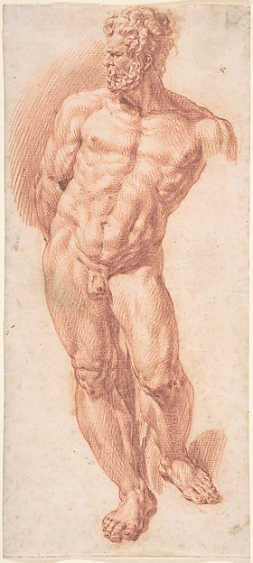 Standing Male Nude