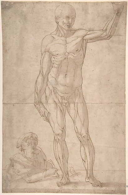 A youth lower left drawing an ecorché of a standing man