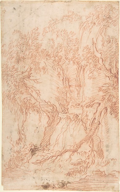 Trees and Rocks