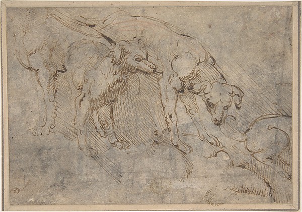 Studies of a Dog