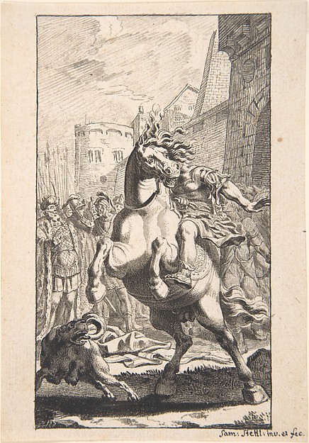 Marcus Curtius