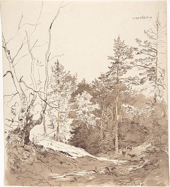 Landscape with cattle in Weißbach on the Rhön