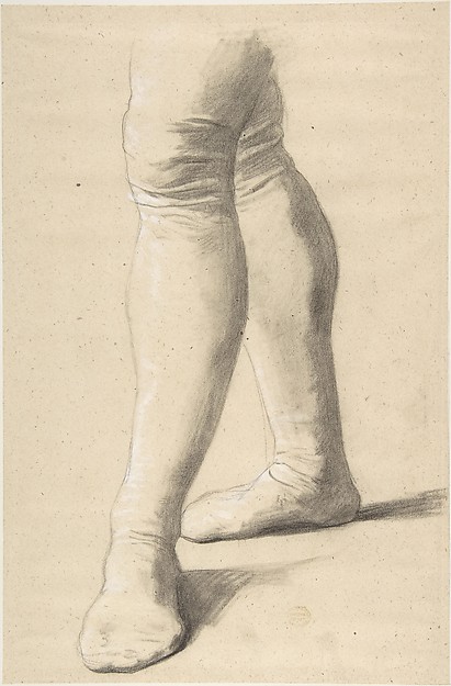 Study of Legs