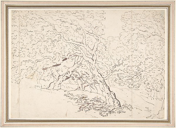 Study of trees