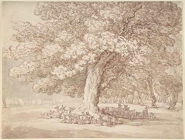 Herd of deer under an oak tree