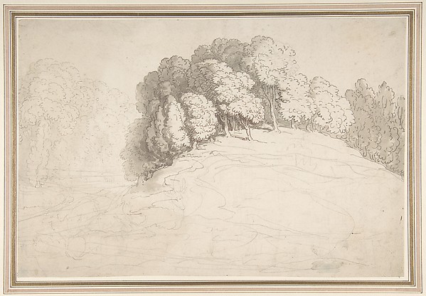 Wooded hillside with deer